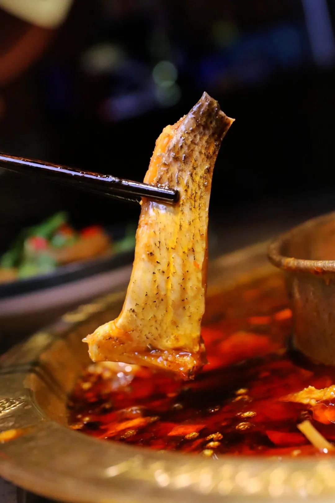 温州爆火美蛙鱼头,重庆最火爆的美蛙鱼头