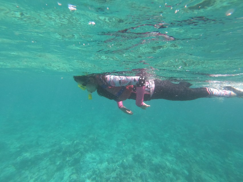 马累市区周边浮潜,马累本岛浮潜