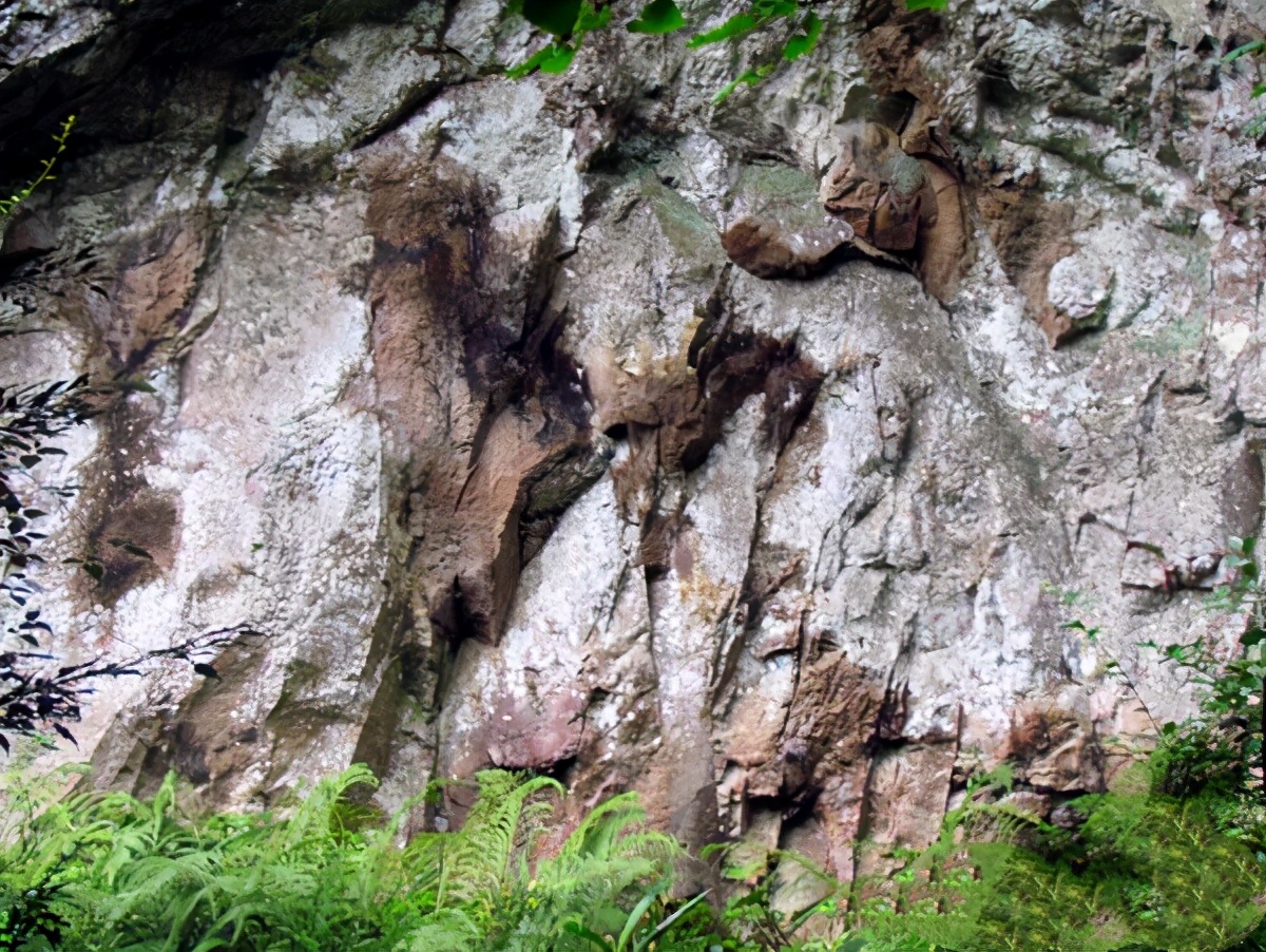 浙江雁荡山可以旅游了吗,浙江雁荡山三日游多少钱