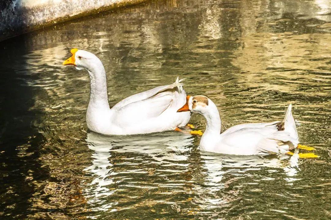 冬天的青龙峡旅游攻略,昆明安宁市青龙峡
