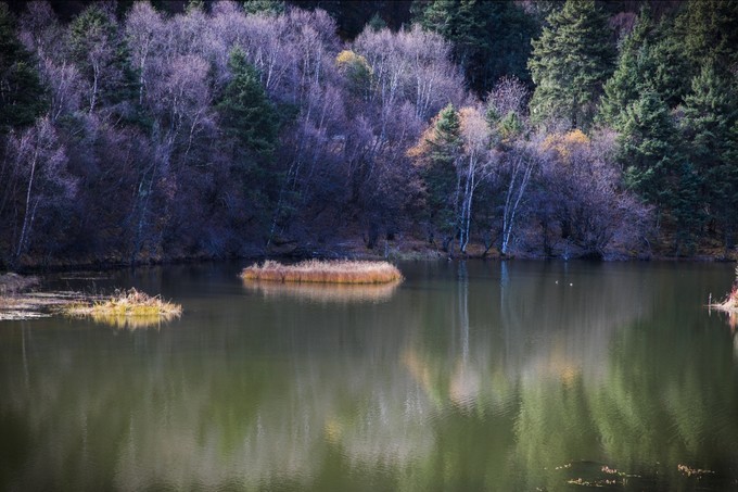 消失的地平线上的“香巴拉”和“女儿国”（二）