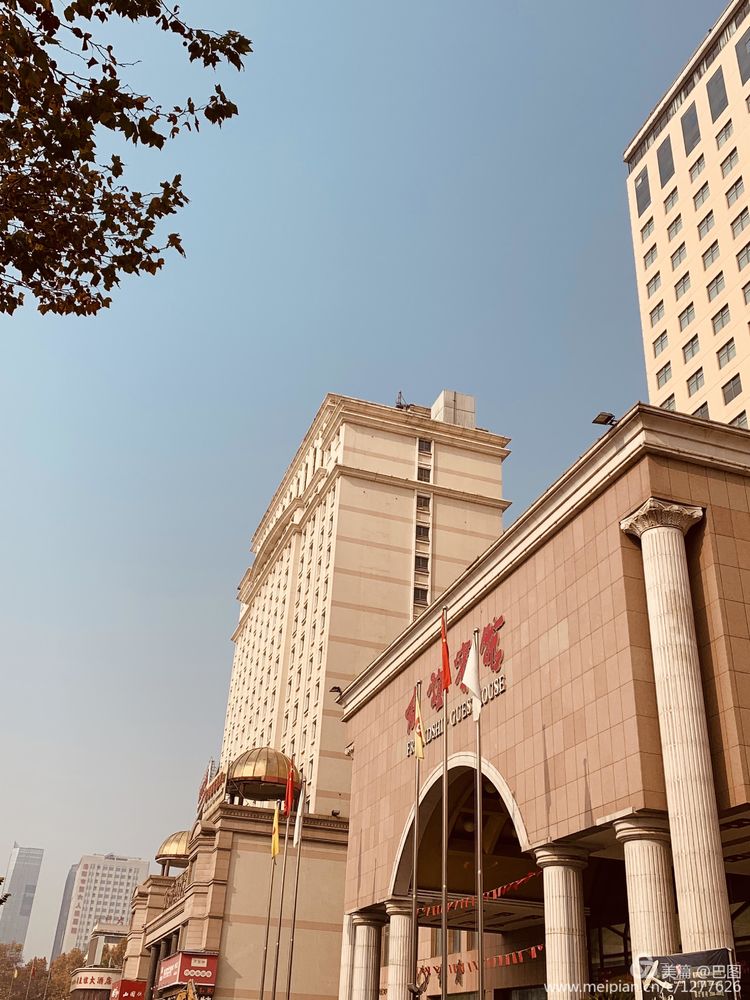 涧西牡丹广场老照片,洛阳牡丹手机拍照