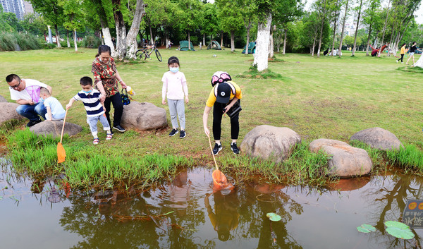 南昌动物园哪里有大象,南昌大象公园