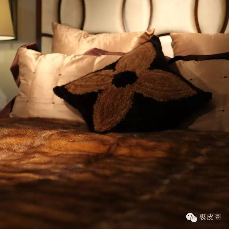 裘中之王野生紫貂,裘中之王是什么意思