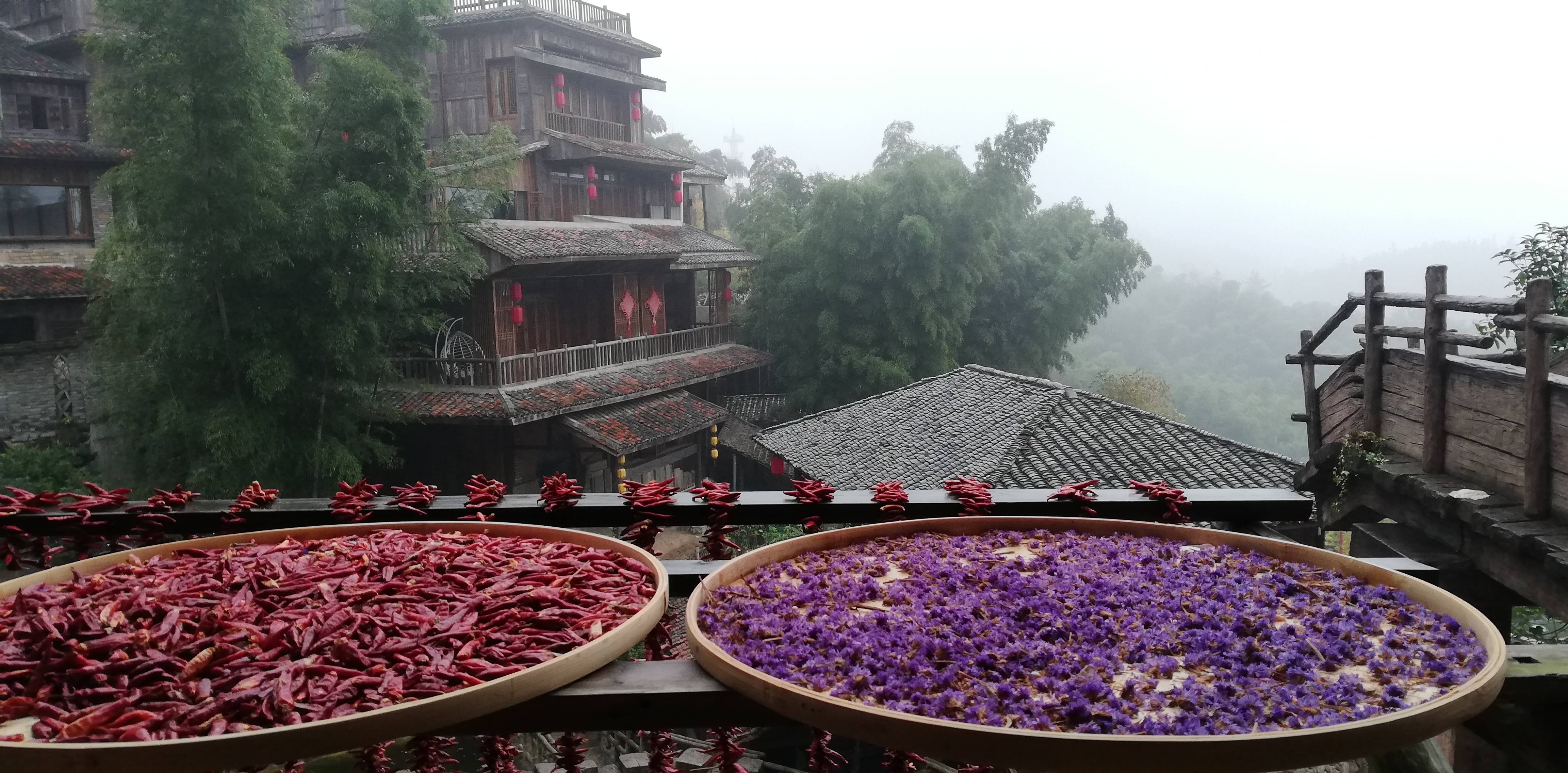 南昌梅岭溪谷秘境,南昌梅岭秘境