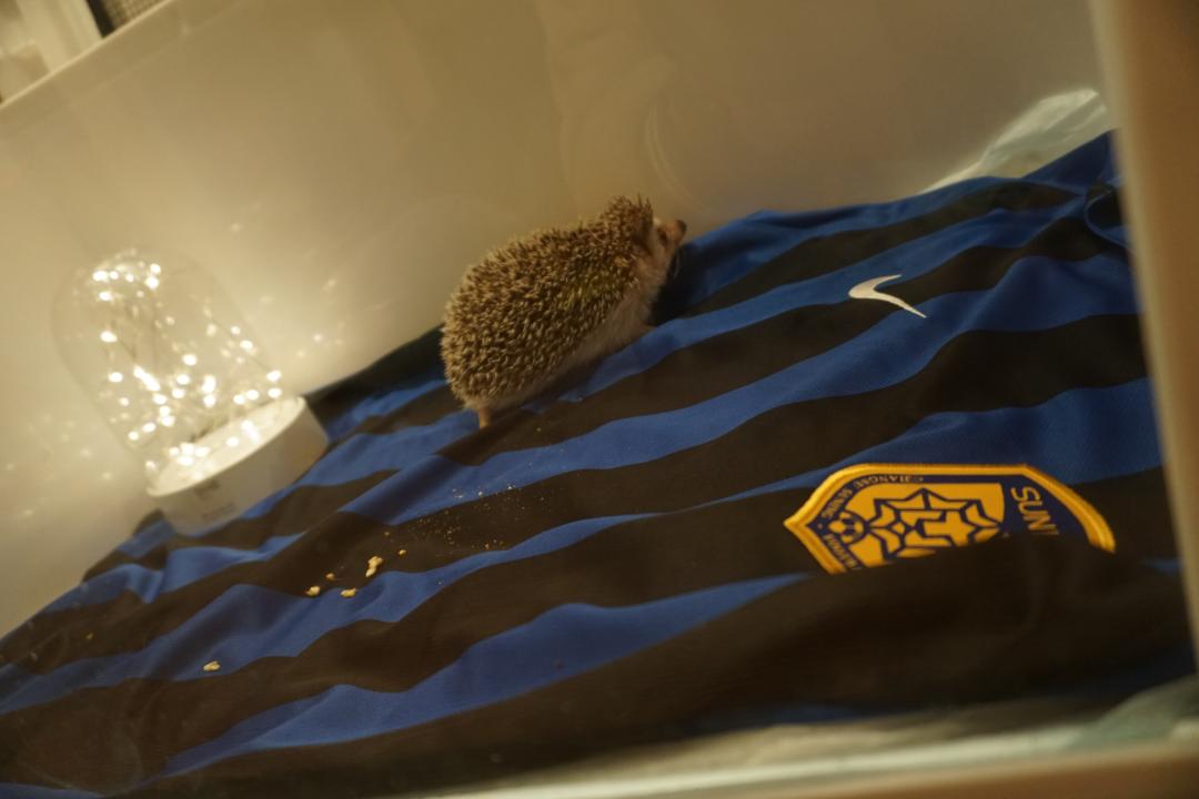 0首付月供约3000起,0首付月供5000左右