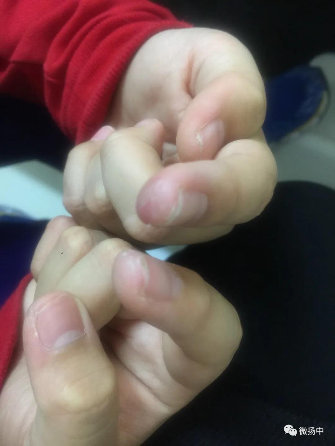 江苏唯一！12岁扬中男孩圆梦中央音乐学院附中，成郎朗学弟，恭喜！