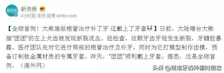 大熊猫根管治疗,戴牙冠真的能保护好正常基牙吗