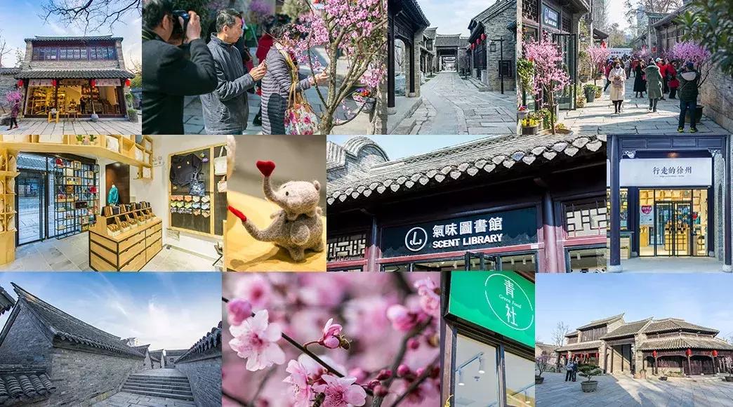 徐州市中心处竟隐藏着一片梅花林，时尚又古香的街区被映成粉色