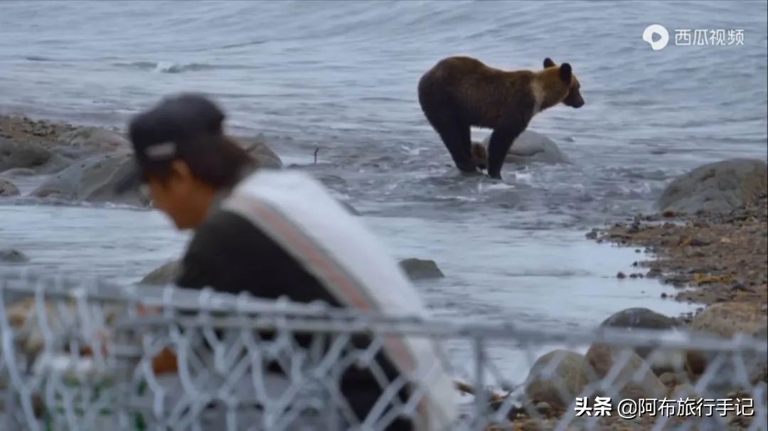 豆瓣9.1分看哭百万人,豆瓣评分9.0却很少有人看懂
