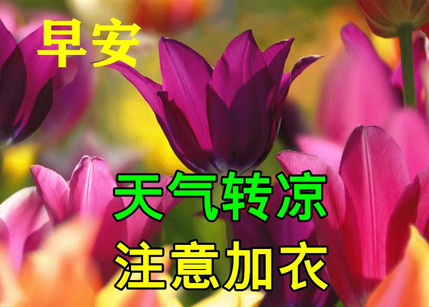 周一早上好祝福问候语最新版多图,周一早上好最新图片问候语