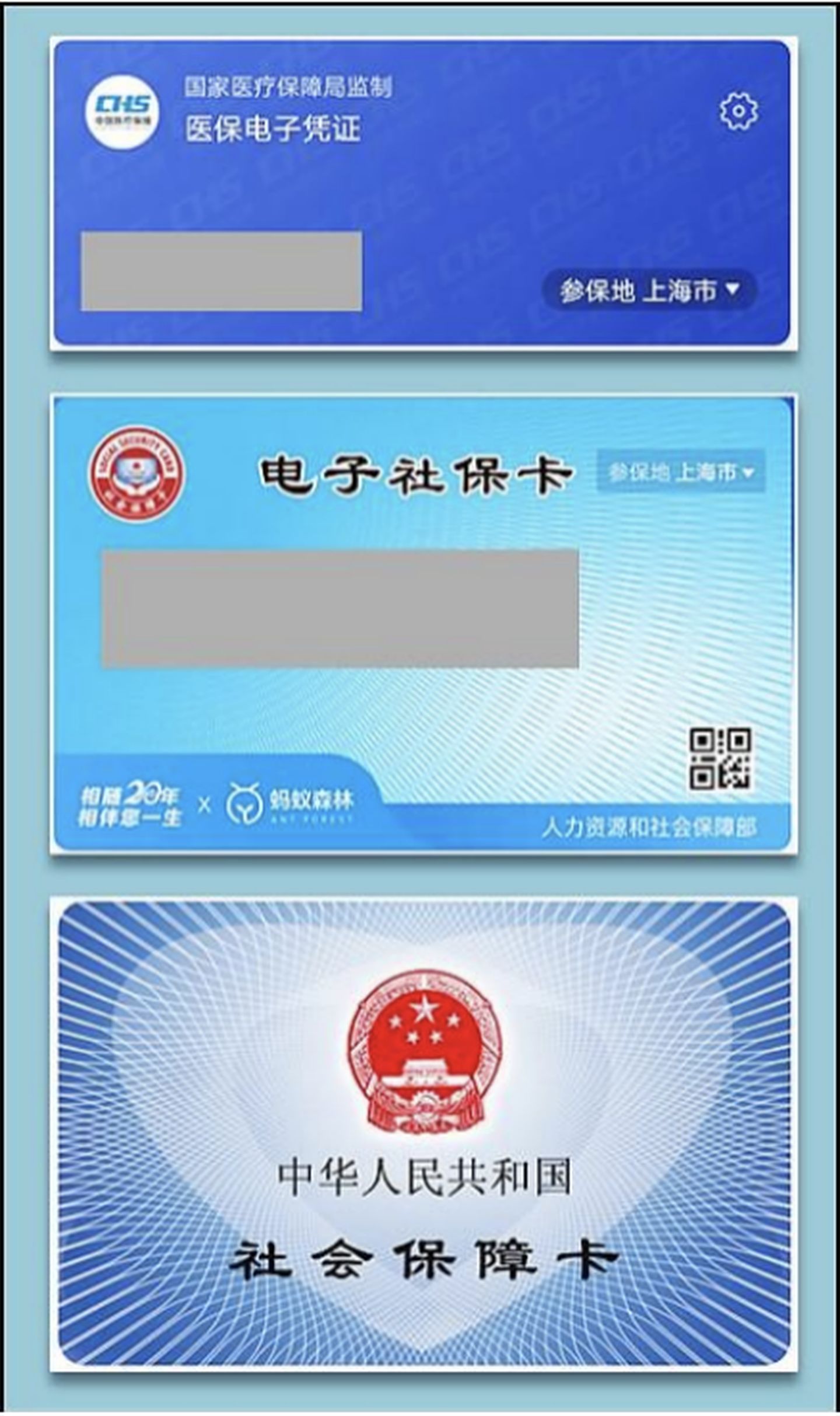 2021大福利：全网超全社保终极科普，读完不用再问人（上）