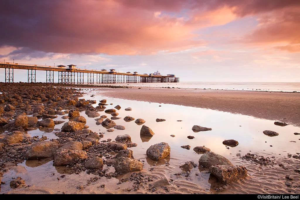 最A的景配最飒的人之既A又飒威尔士