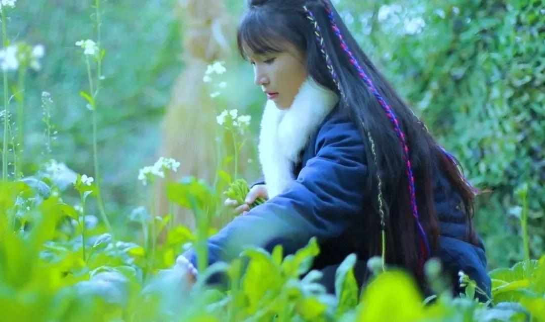 有一种向往叫西双版纳,有一种向往叫诗和远方完整版