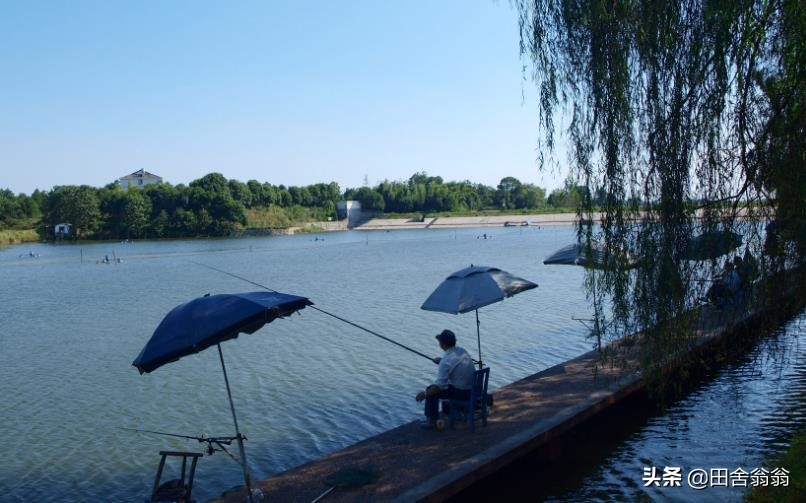 春季钓鱼小技巧新手学会秒变老手,春季钓鱼的技巧及其注意事项