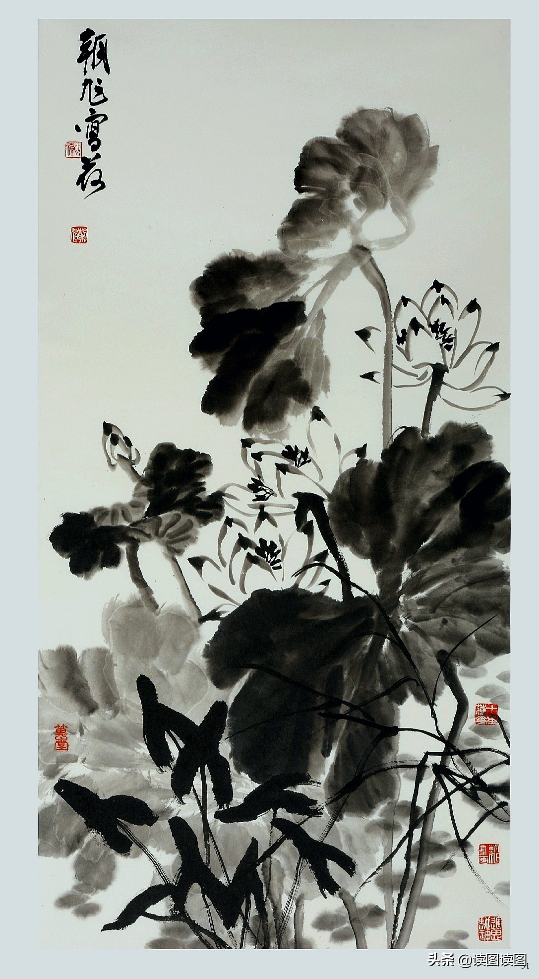 许朝旭国画,许老师花鸟画精品欣赏