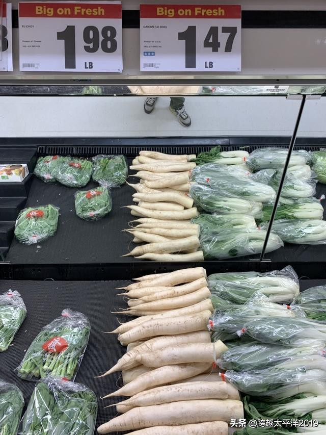 加拿大超市购物必买 (加拿大多伦多costco购物必买)