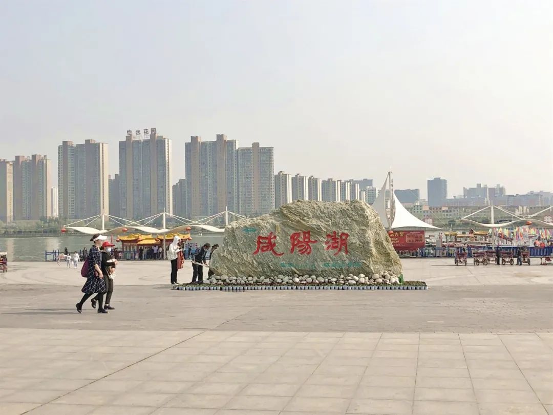 郁金香花海太美了,咸阳湖畔郁金香花海