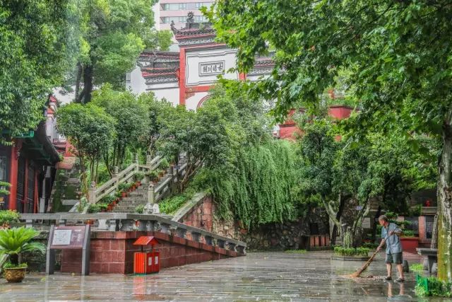 武汉市最热门的春游景点,2022武汉春游好去处