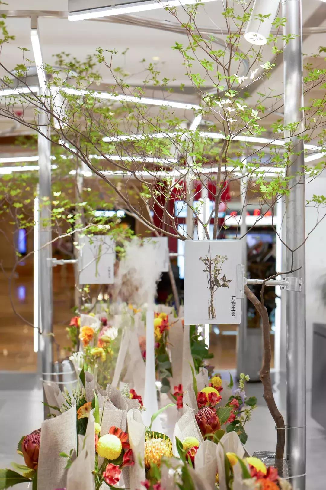 在花园里和鲜花为伴,在花店与鲜花为伴