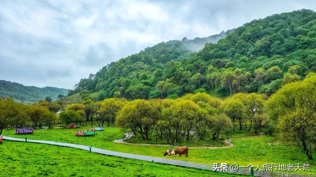 这座低调的宝藏老城被西安光芒掩盖，却是中国最具性价比的旅行地
