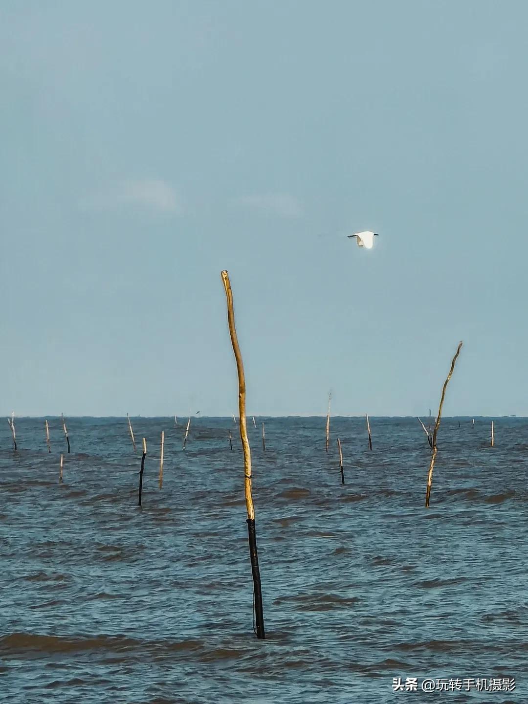 学会海边拍照,怎么拍出好看的海边照