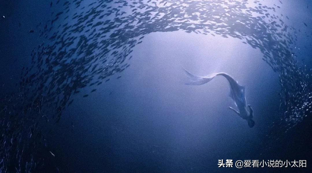 斛珠夫人小时候的海市,斛珠夫人方海市的女子身份暴露