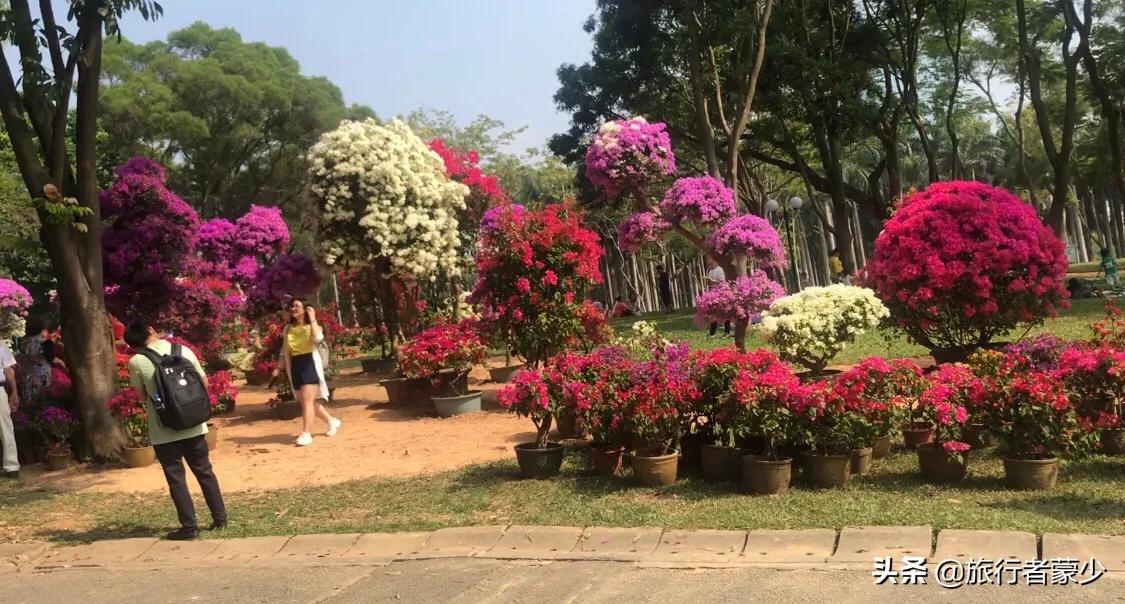 莲花山情侣约会5大圣地,深圳莲花山约会