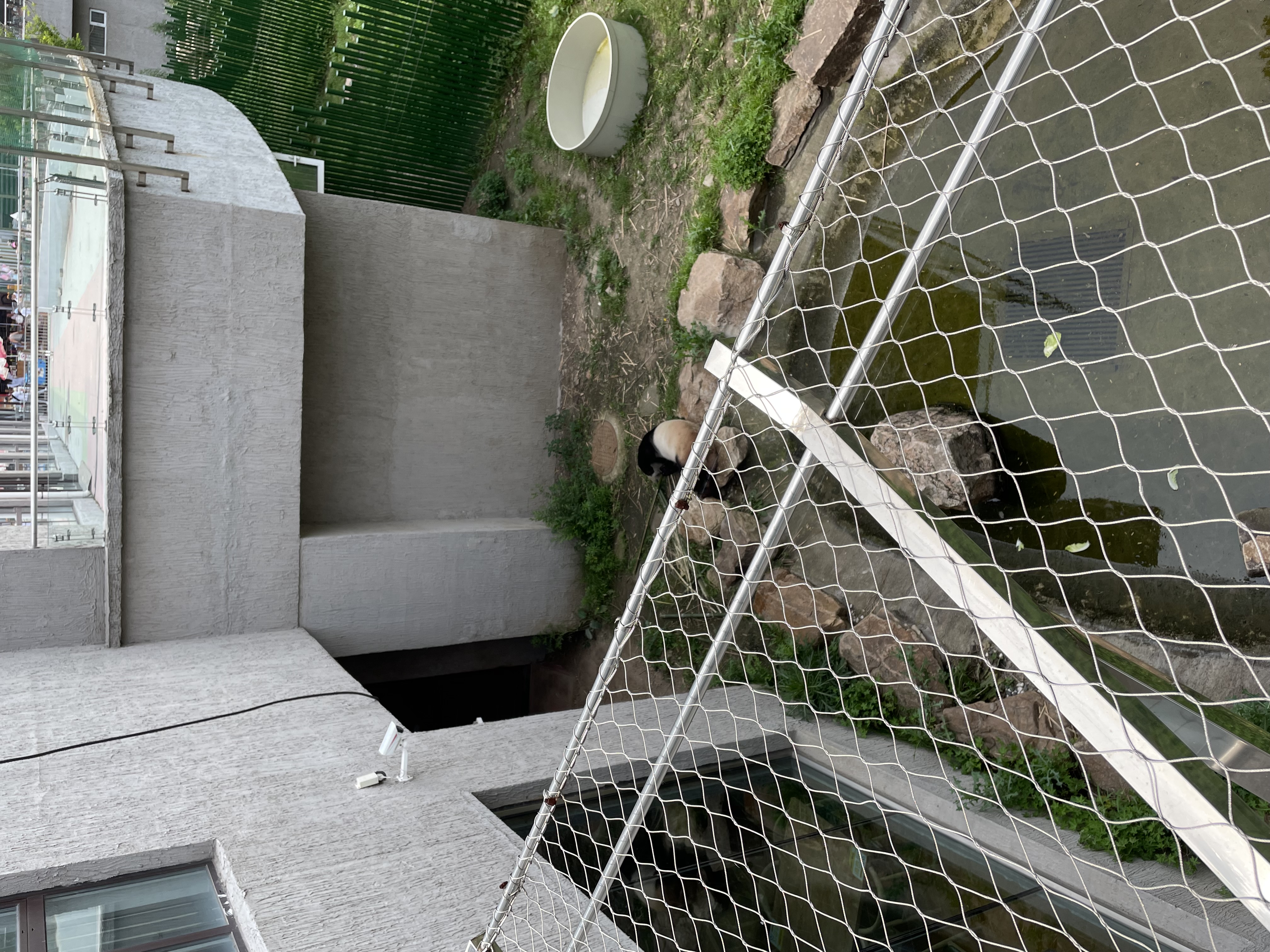 沈阳森林动物园春游,五一小长假去沈阳森林动物园游玩