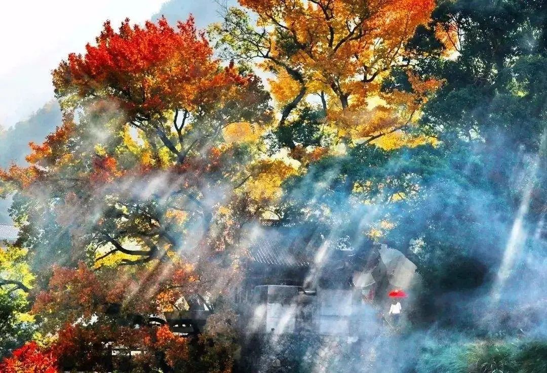 11-12月十大必去旅行地,12月高性价比的旅游地