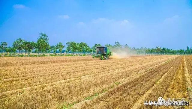 濮阳县各乡镇地名由来,濮阳最早出现的地名