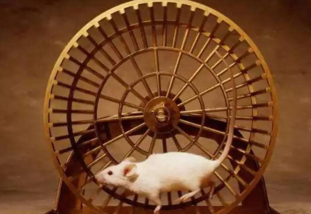 学习富爸爸穷爸爸的收获,学习富爸爸