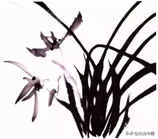 徐湛国画兰花技法教学,国画兰花入门技法