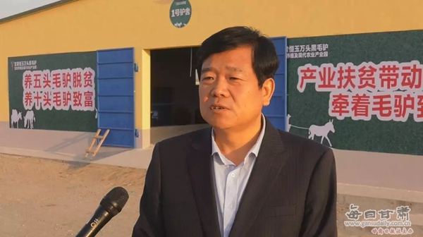 甘肃毛驴养殖,甘肃毛驴养殖基地