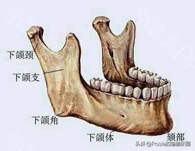 咬肌大双下巴法令纹,消除双下巴和颈纹紧致下颚线