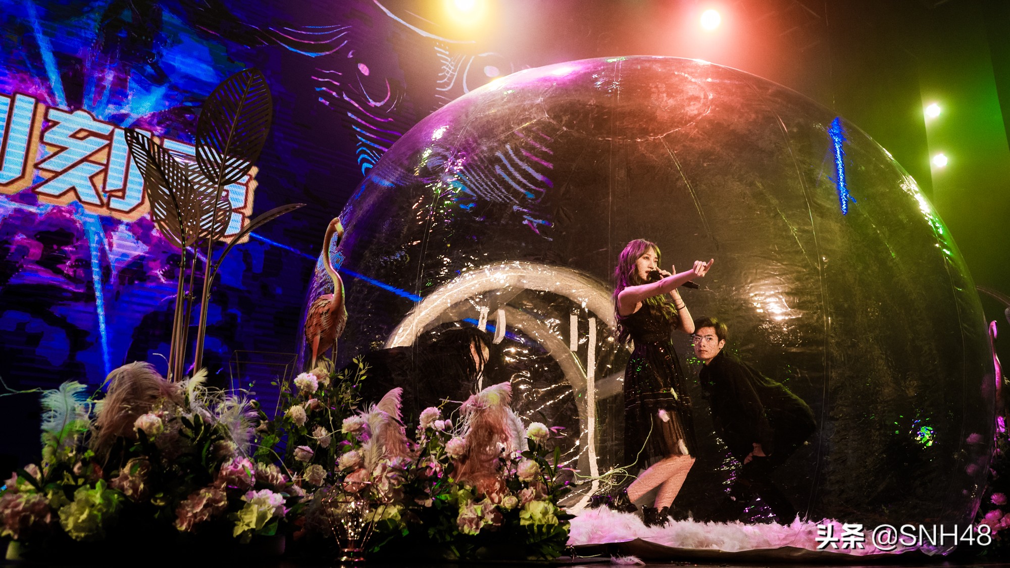 冯薪朵snh48生日,snh48第五届总决选冯薪朵