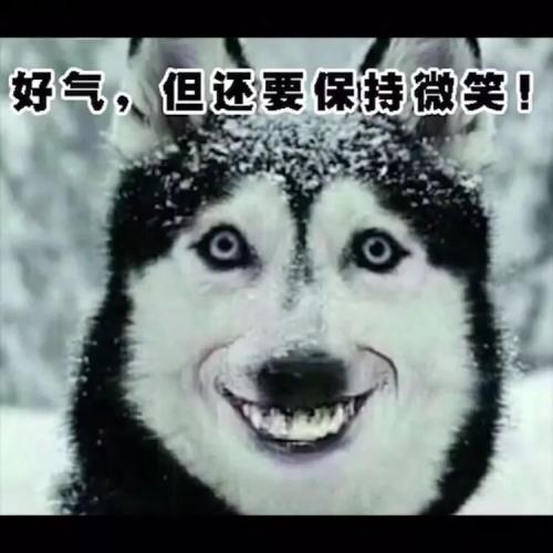 教你武汉话怎么说,教你一句话让女生觉得你更懂她