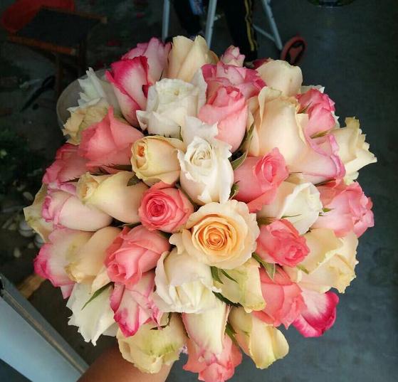 洋桔梗鲜花养护技巧,鲜花红豆养护技巧