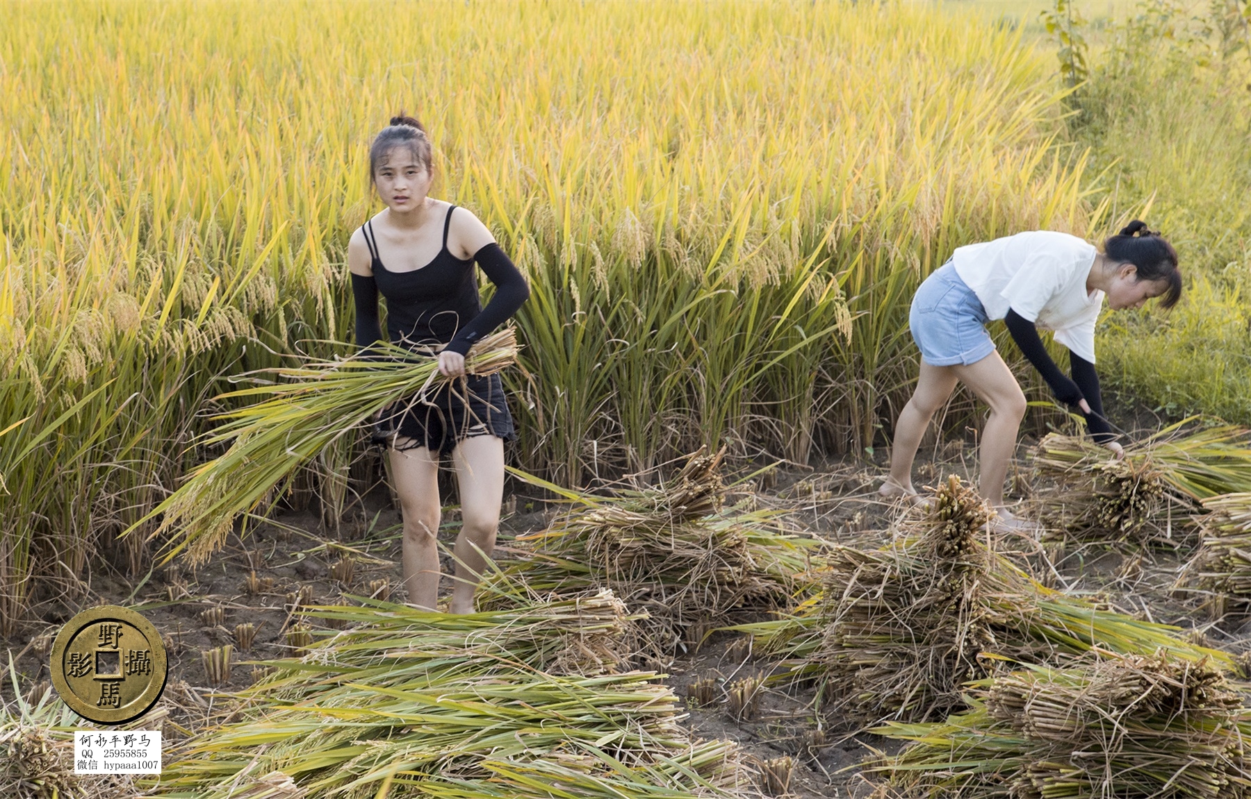 广安撤县名单查询,70年广安县有多少个人民公社