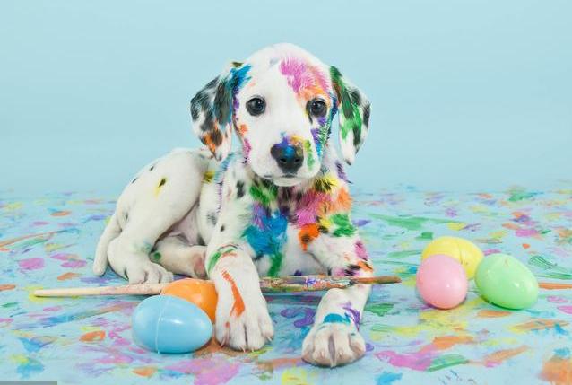 美工做了一年能达到什么水平,零基础学ps美工多久可以学会