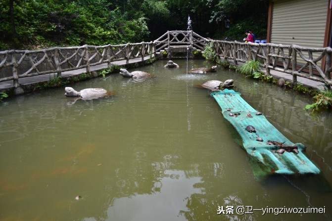 长沙到张家界旅游攻略自由行,长沙到张家界房车自驾游