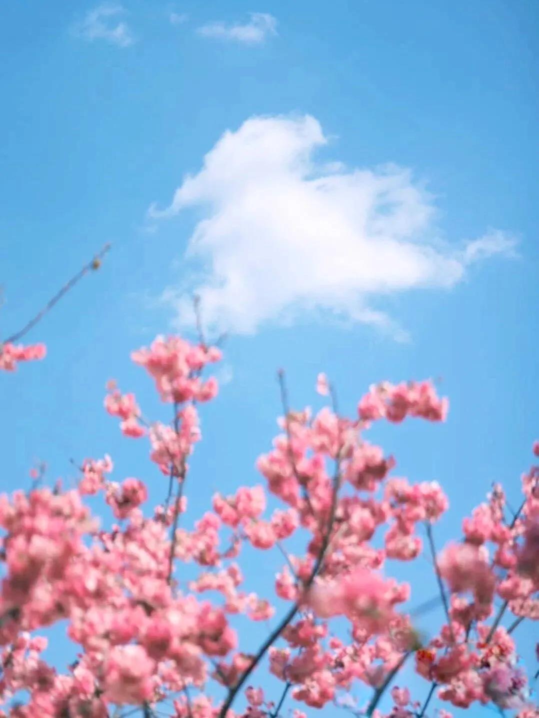 今天宜良景点哪里好玩,宜良好玩的夜景