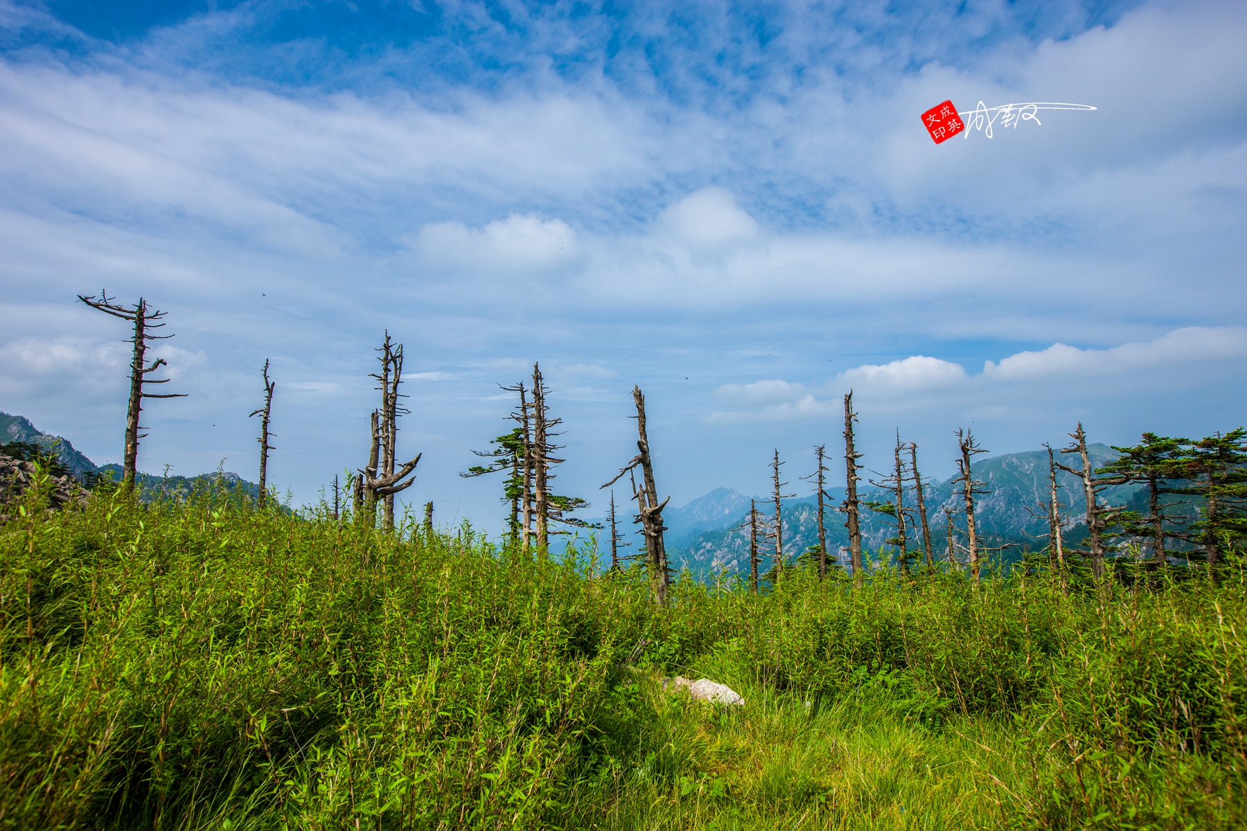 佳能1ds3拍摄感受,佳能1dsmark3评测