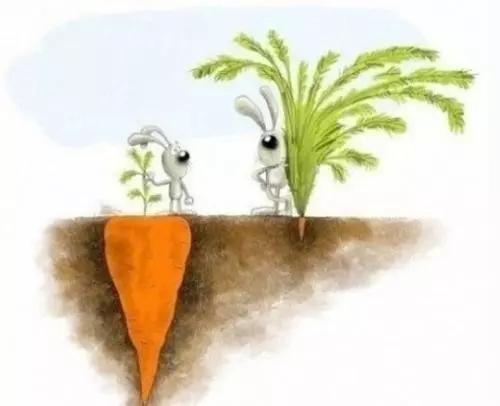 帛书版道德经第四十二章译文,道德经第四十二章英文译文