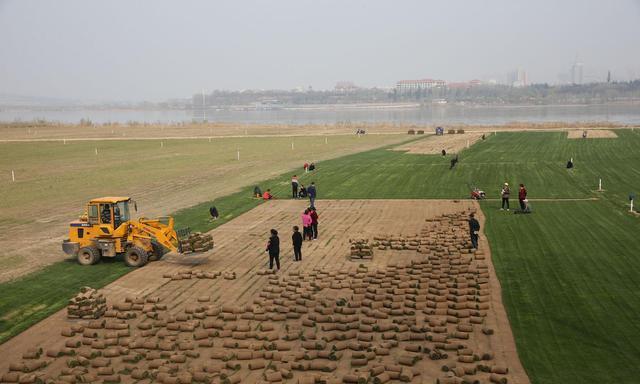 河南小伙好吃懒做,河南小伙放弃百万年薪回家种地