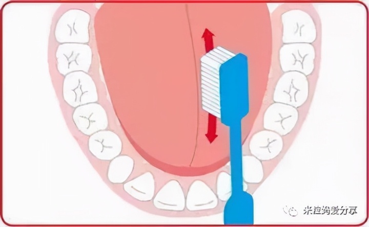 牙膏好物推荐排行榜第一名,按压式牙膏推荐好物