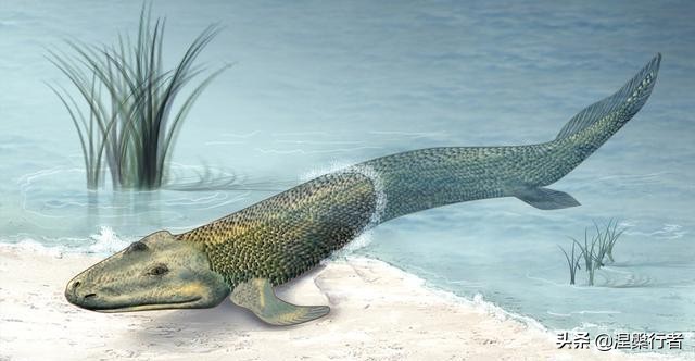 了解太阳地球和月亮之间的关系,太阳与月亮之间的关系