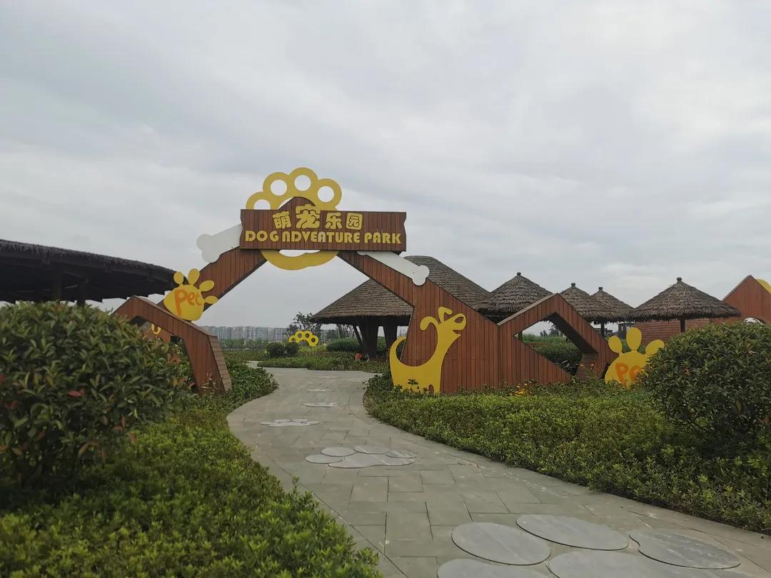 踏青打卡好去处双流空港公园,环城生态公园东片区