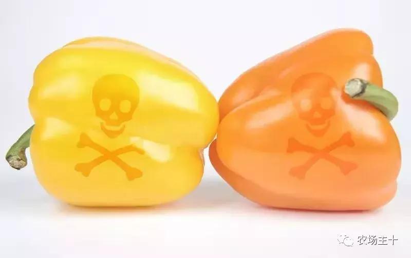 有机农业的真实现状,有机农业的惊天骗局