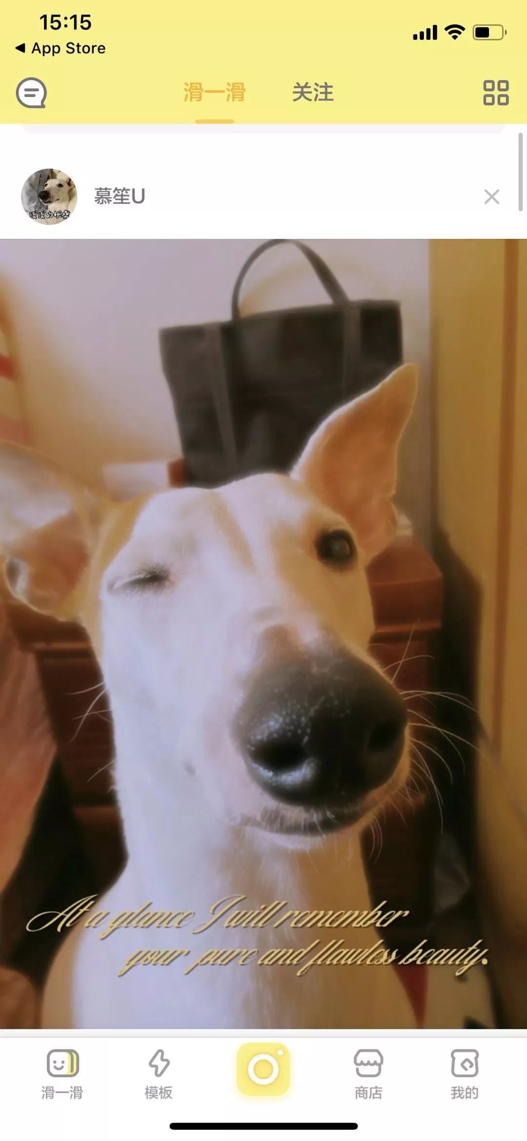 宝藏软件app,宝藏app软件推荐适合记录东西